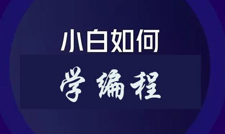 0基础学编程