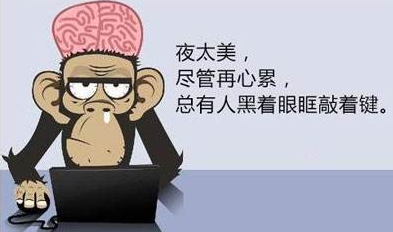 IT程序员